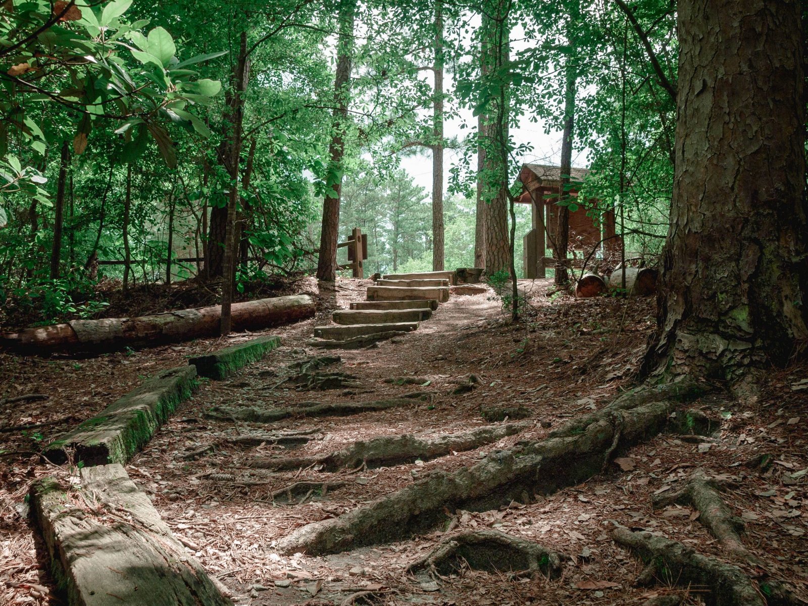 Hike the beautiful trails at Beavers Bend State Park.