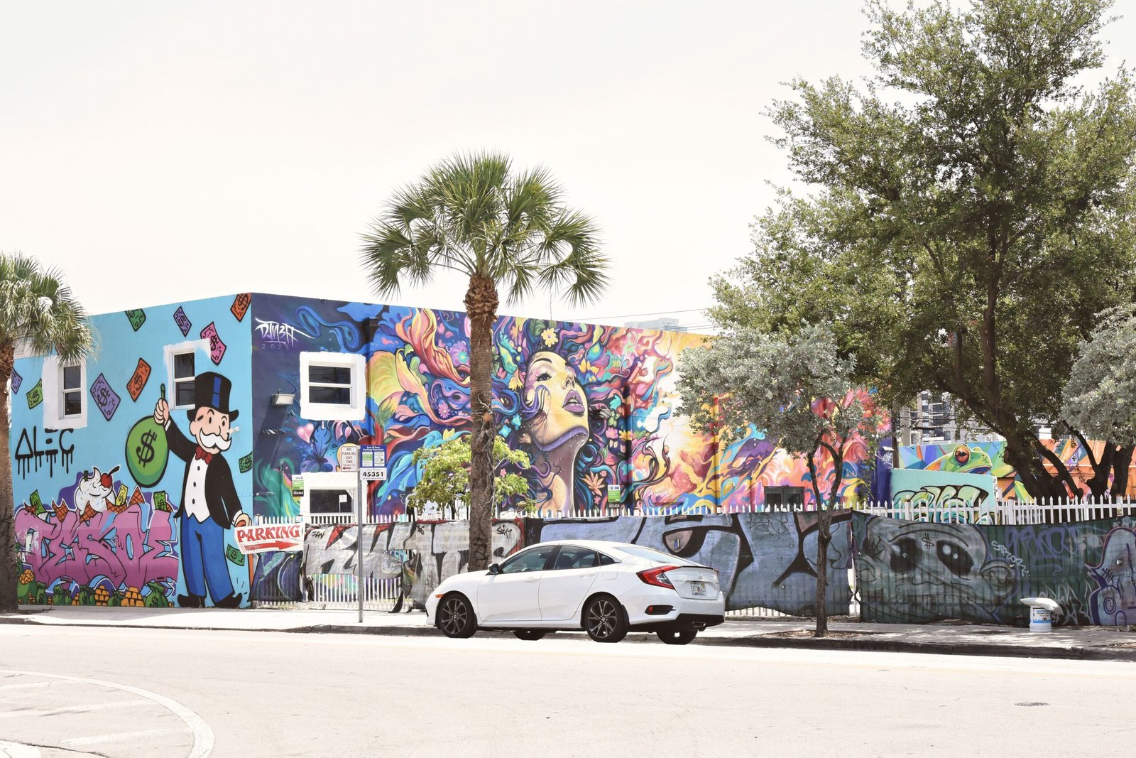 Explore the vibrant art at the Wynwood Walls