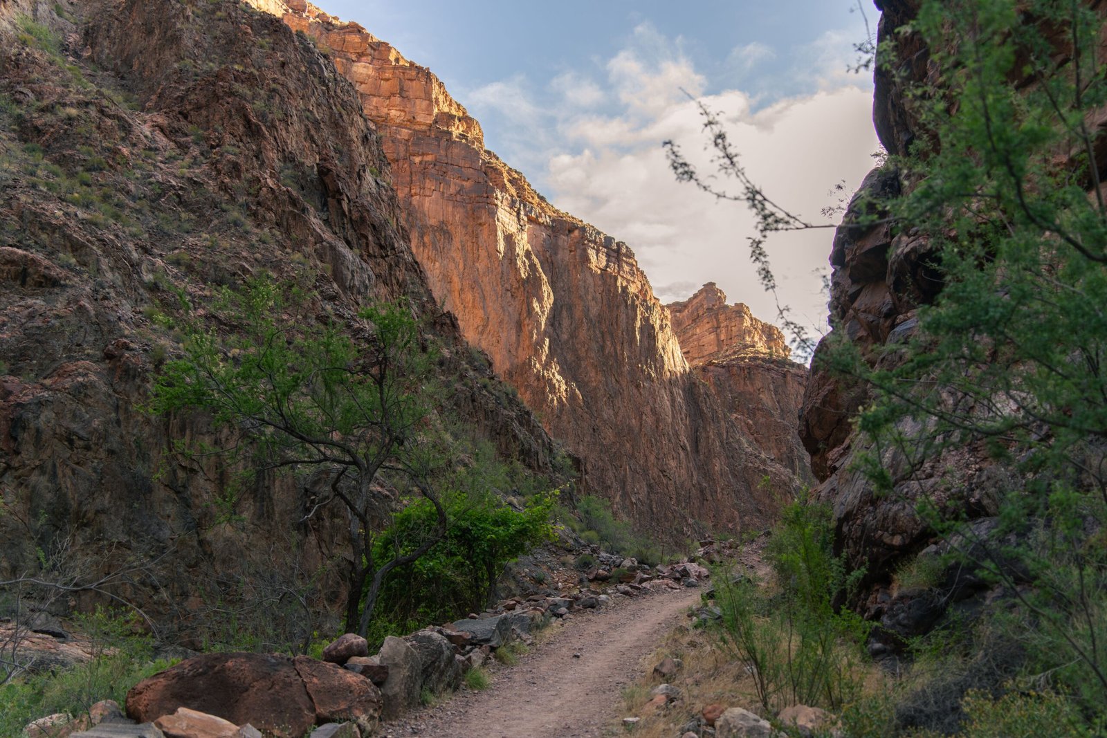 Hike the picturesque trails of the Payson Rim Trail System