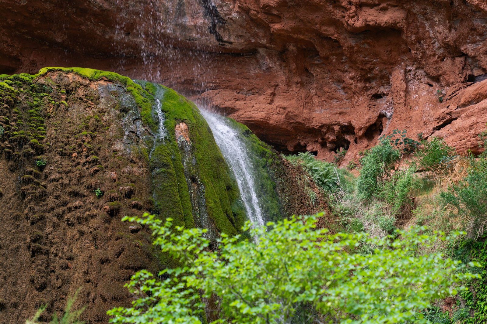 Relax at the stunning Rim Country Regional Medical Center Park