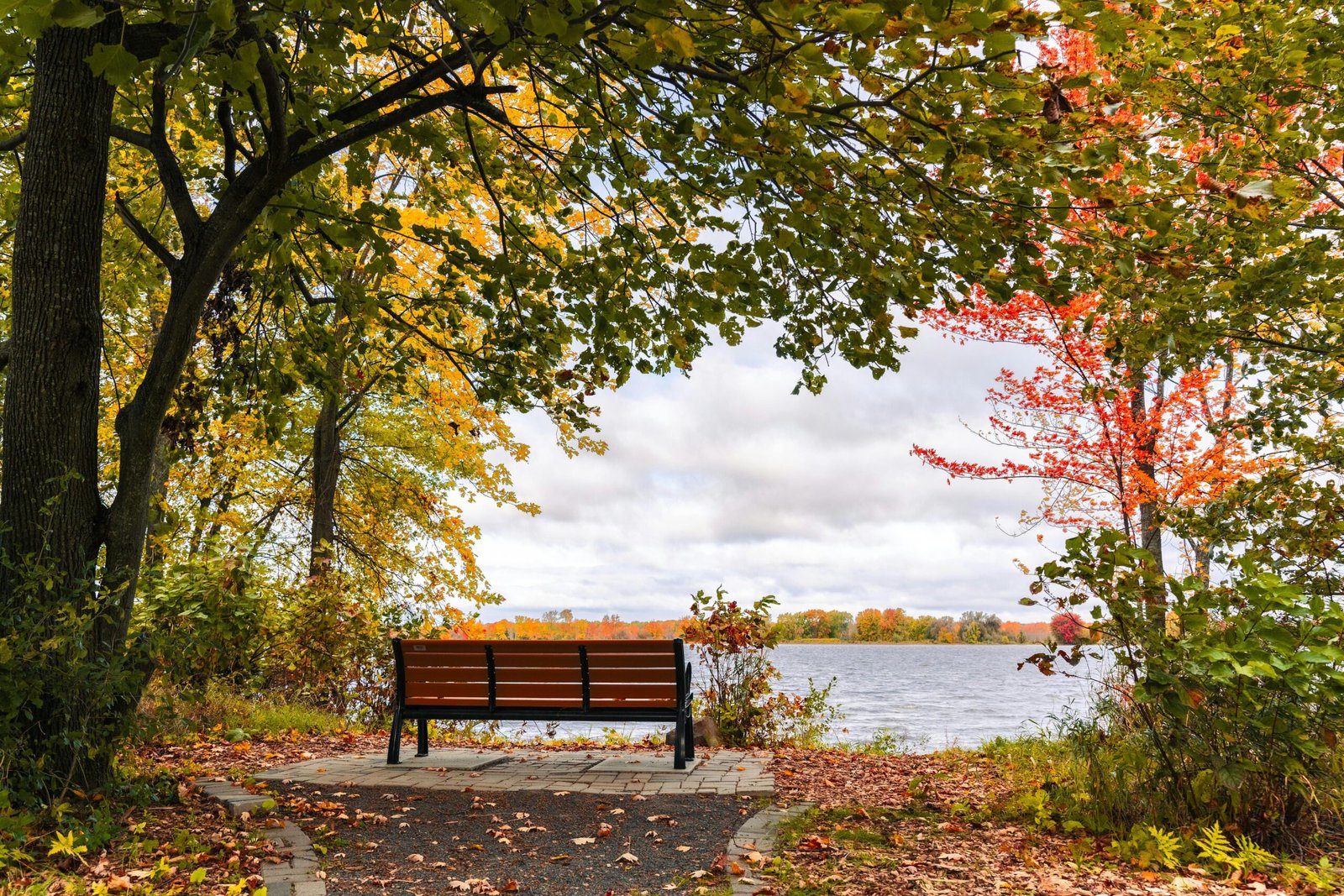 Walk the scenic trails at the Sippo Lake Park Nature Center.