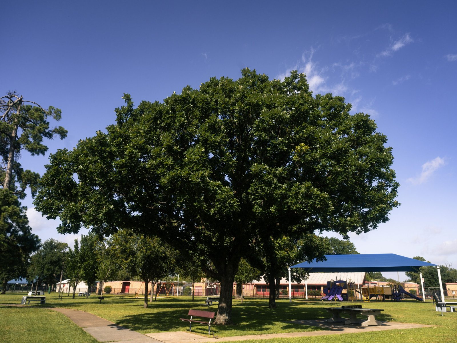 Enjoy a family day at the Lancaster City Park with playgrounds and picnic areas.