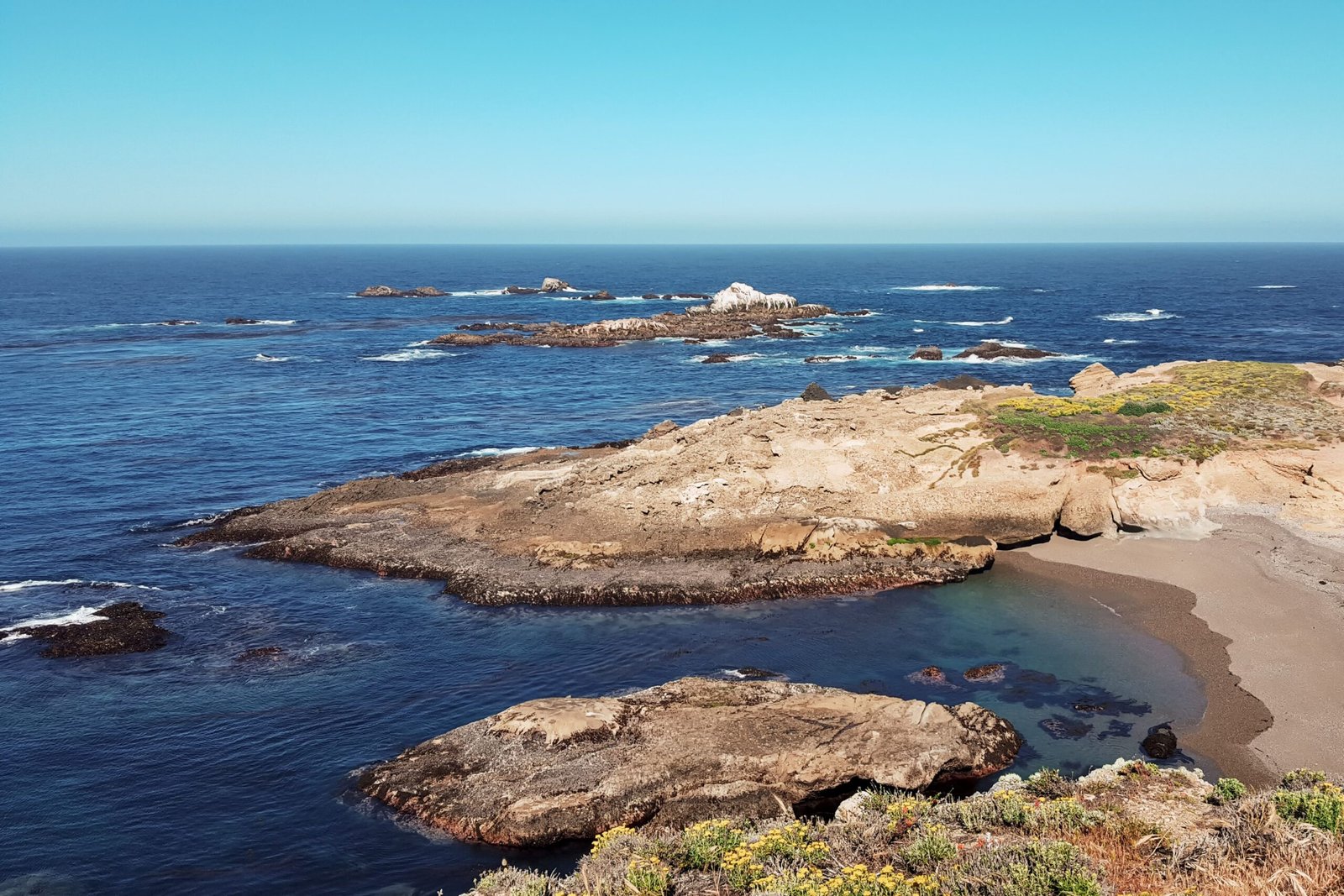 Explore the tidal pools at Point Lobos State Natural Reserve.