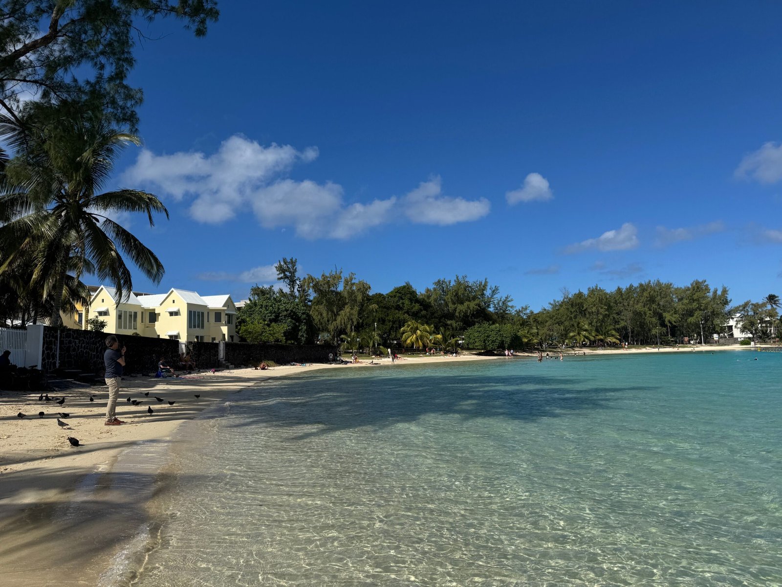 Relax on the pristine shores of Shoal Bay East