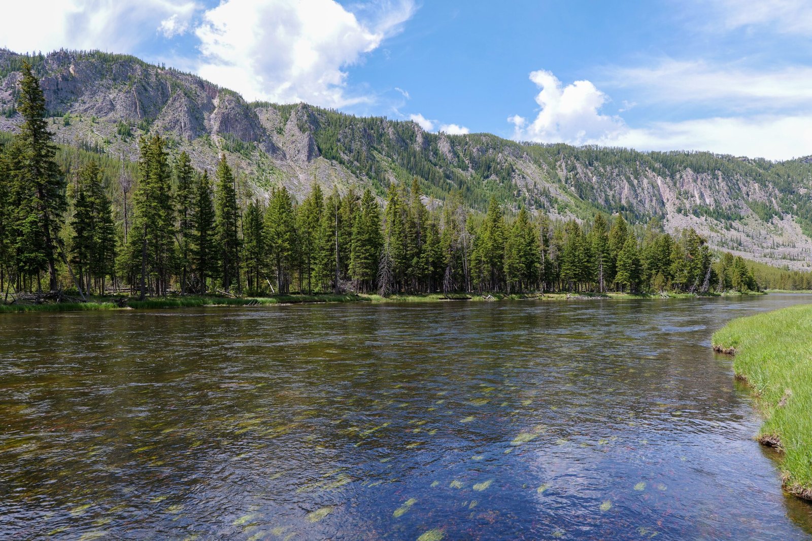Experience world-class fishing on the Yellowstone River.