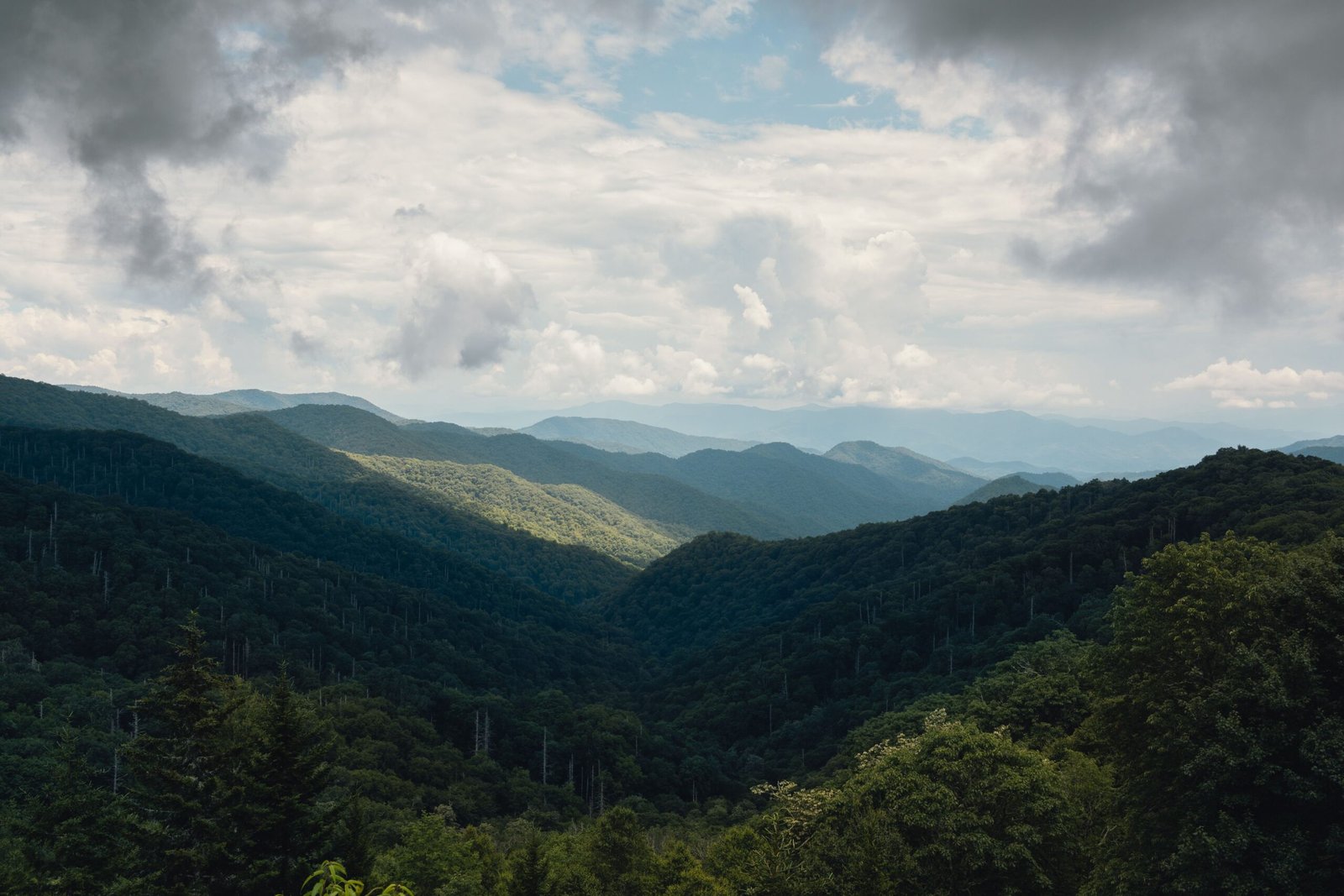 Take a hike on one of the many trails in the Great Smoky Mountains.