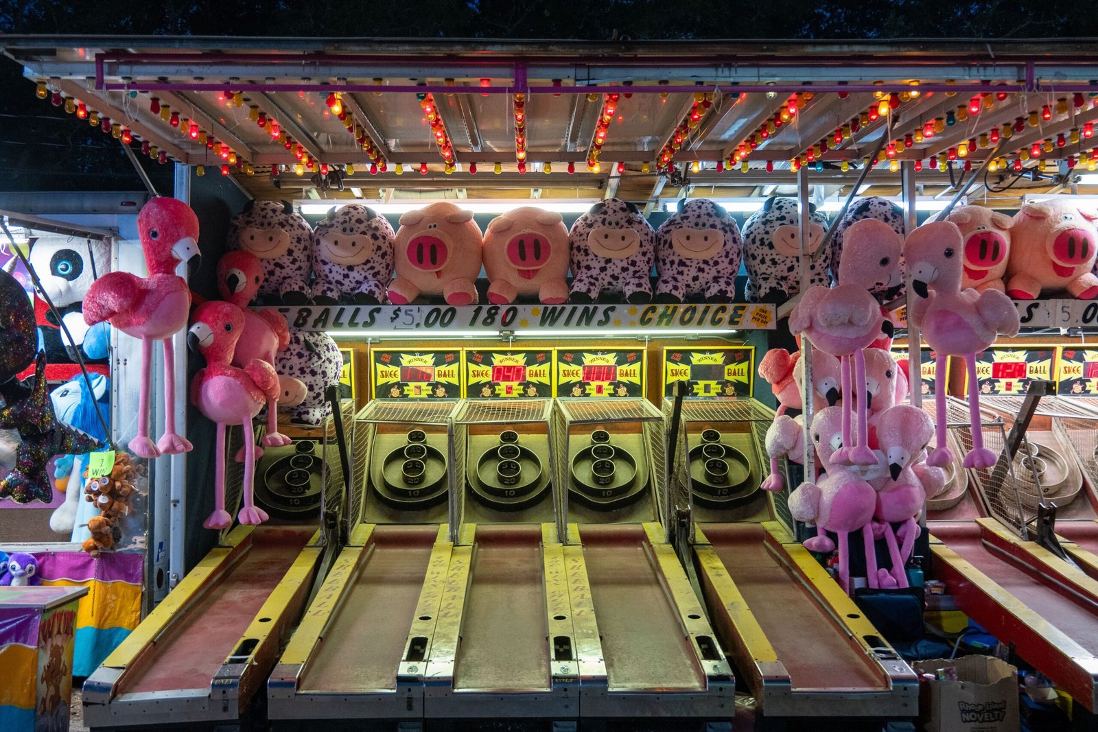 Attend the Tippecanoe County Fair for rides, games, and local food.