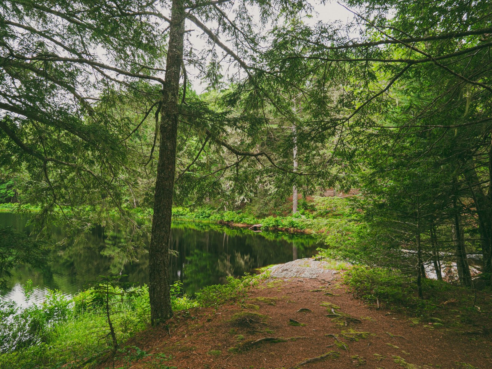Explore the scenic trails at the Freeport Conservation Trust.