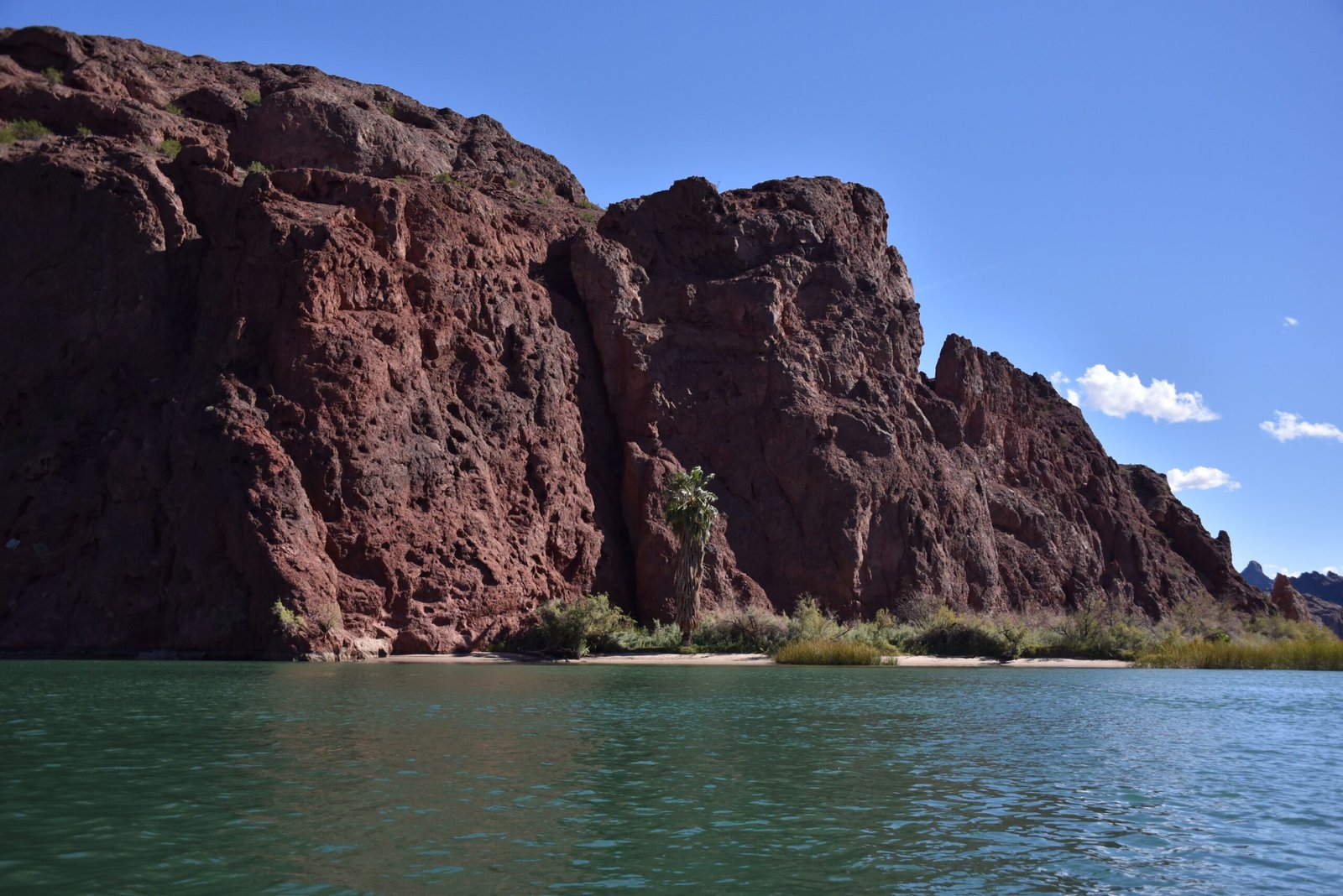 Take a scenic cruise on the Colorado River with the Laughlin River Tours.