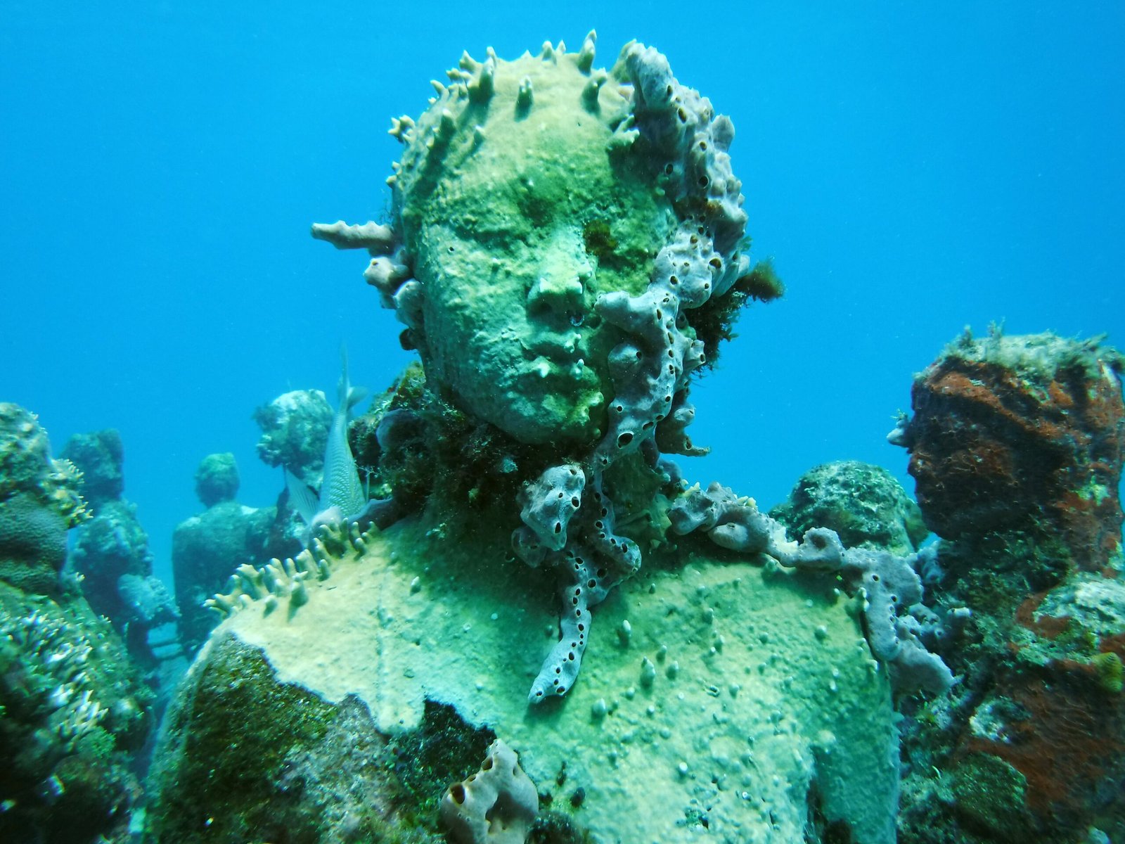 Explore the stunning underwater sculptures at the Museo Subacuático de Arte (MUSA)