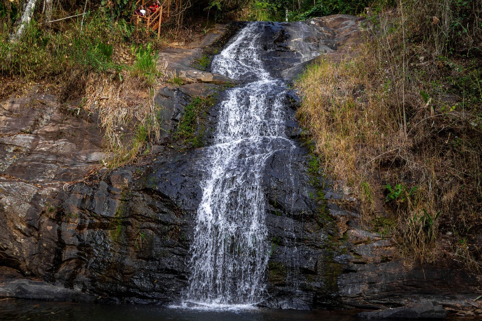 Discover the enchanting Cedar Falls