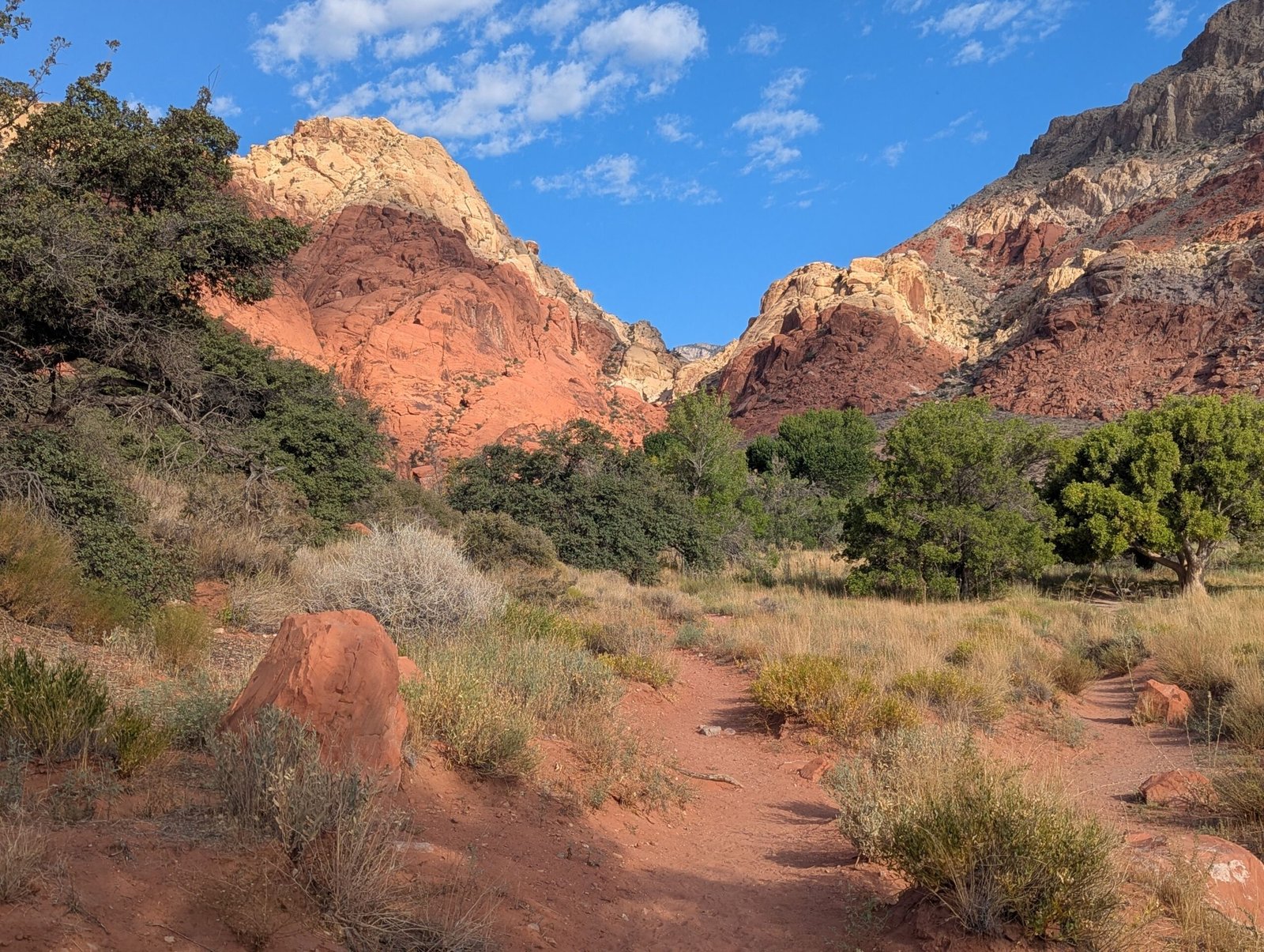Spend a day at the **Las Vegas Springs Preserve**, featuring nature trails and exhibits.