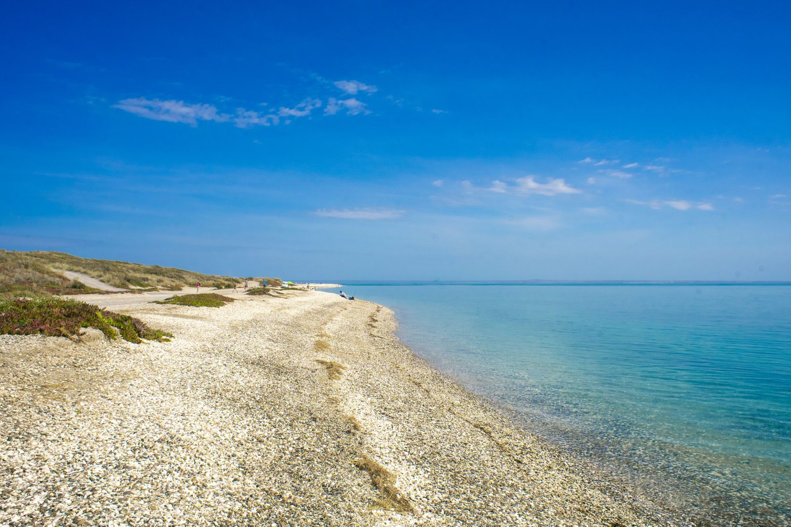 Relax at the pristine Antonio Luchetti Beach