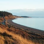 things to do in sequim