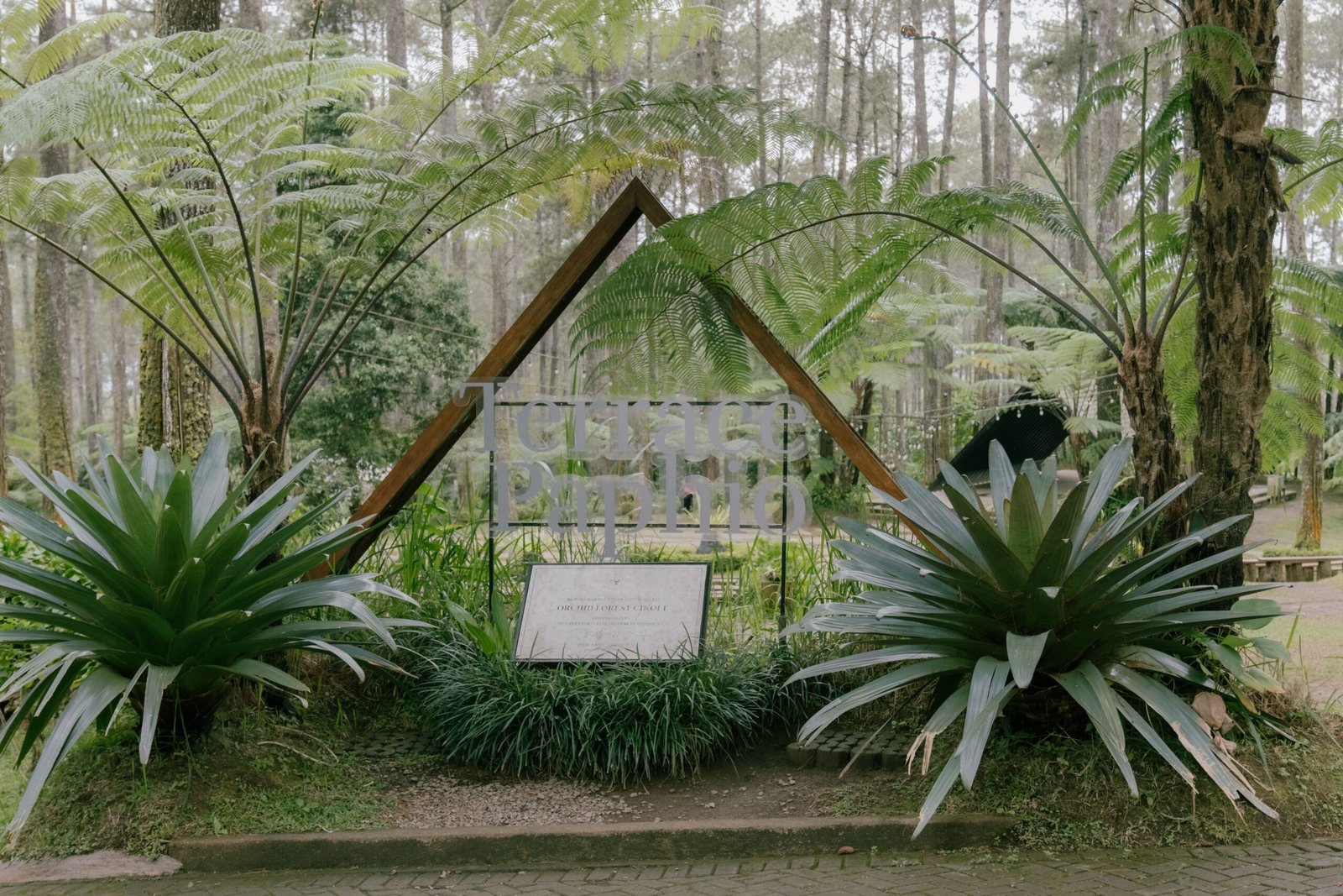 Take a leisurely stroll through the beautiful Taman Suropati park.