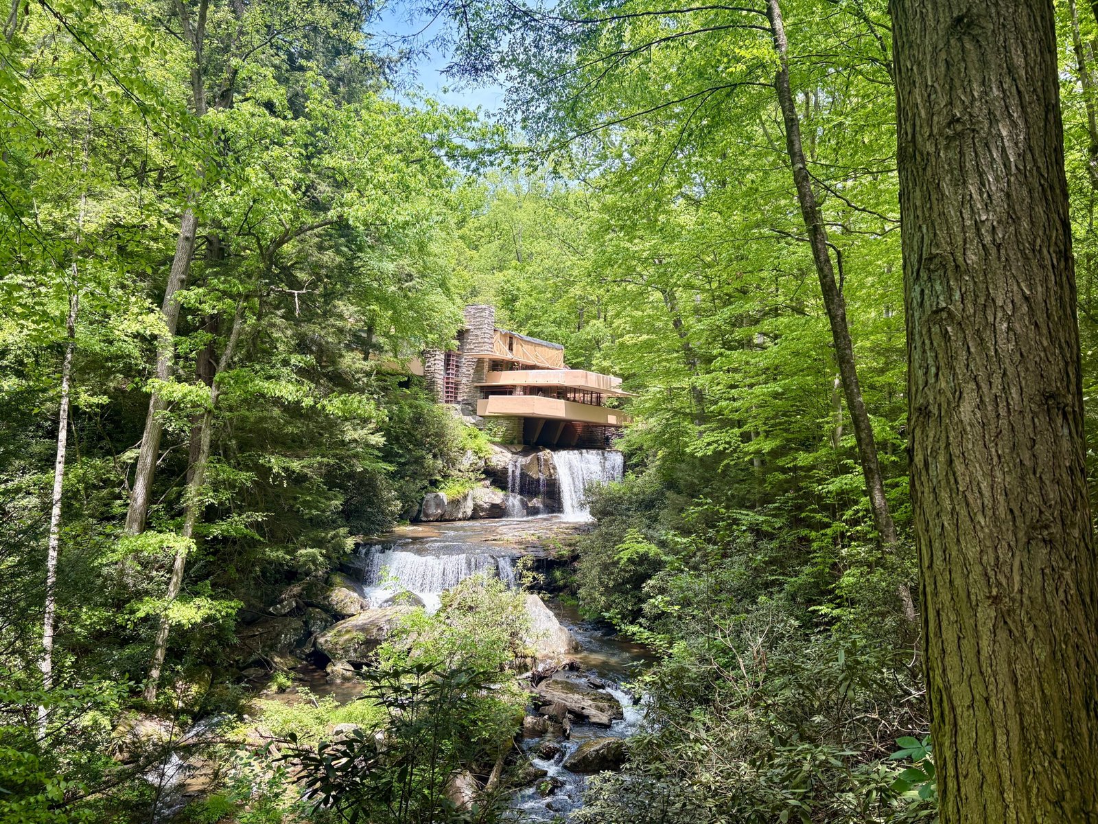 Explore the Fallingwater Architectural Tour