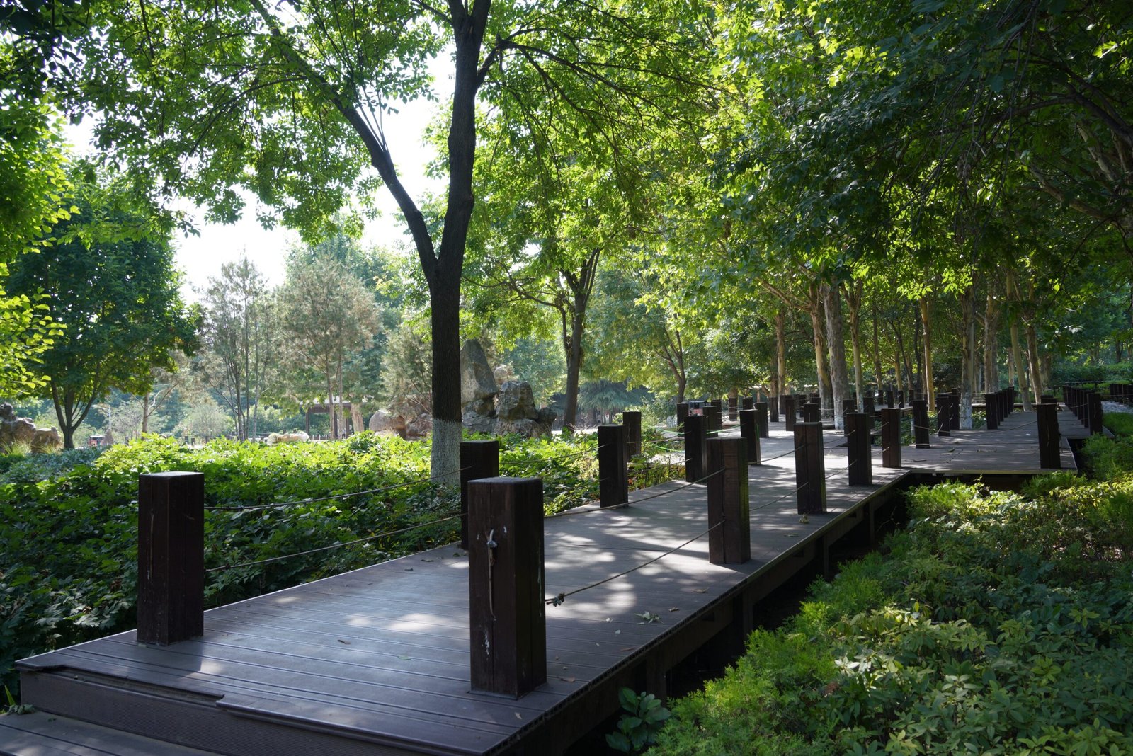 Take a stroll through the Beautiful gardens at Freedom Park.