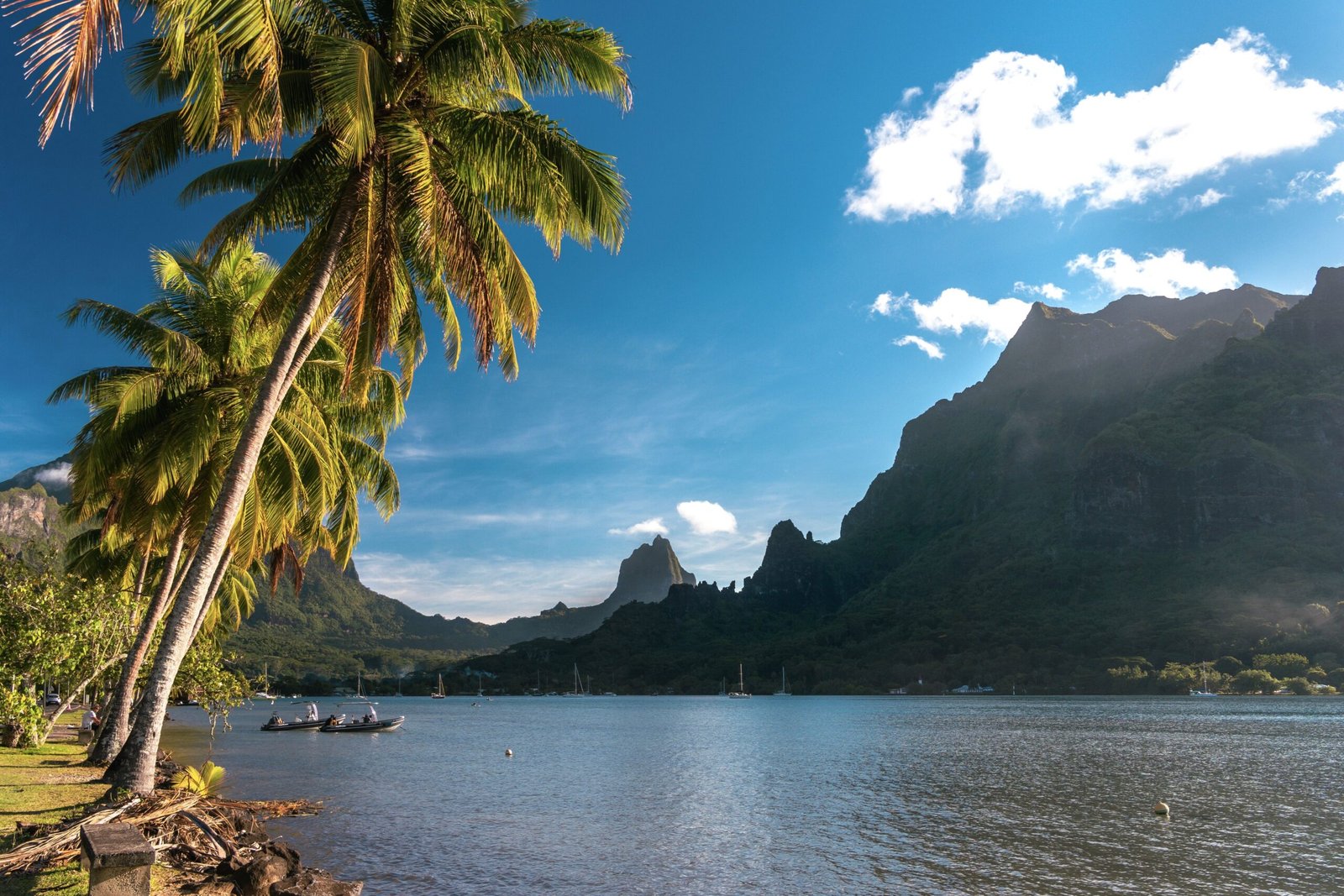 Here are 25 of the best things to do in Tahiti: