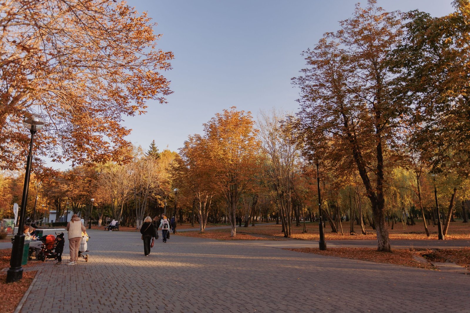 Take a stroll through Fairpark