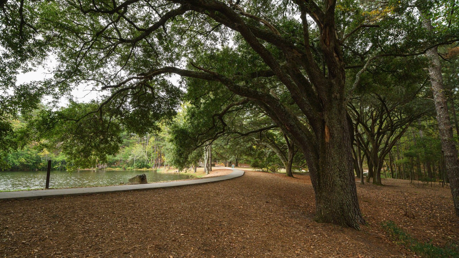 Explore the serene trails at the Oak Island Nature Center.