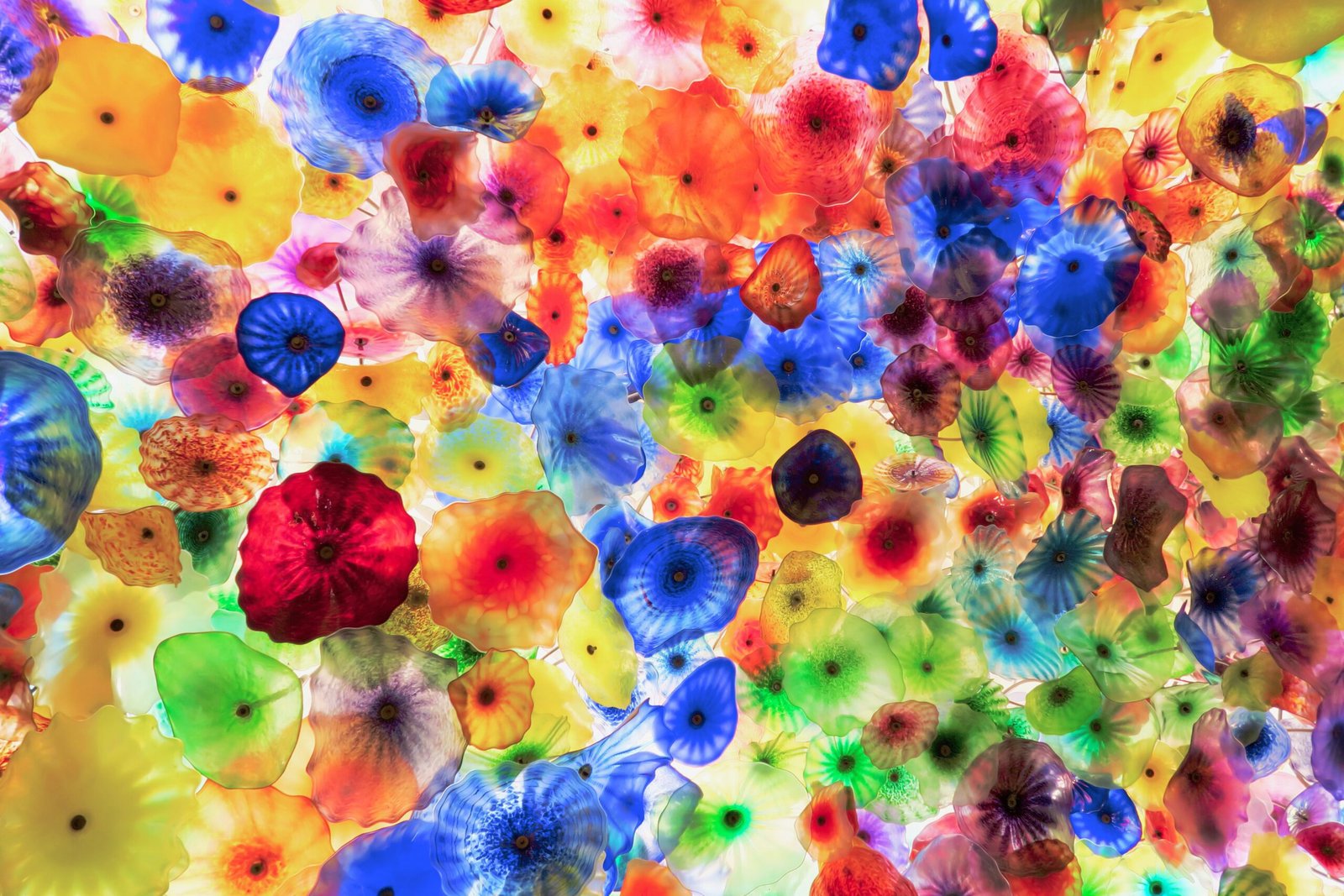 Discover the art installations at the Bellagio Gallery of Fine Art.