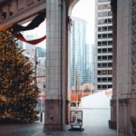 things to do in chicago in december