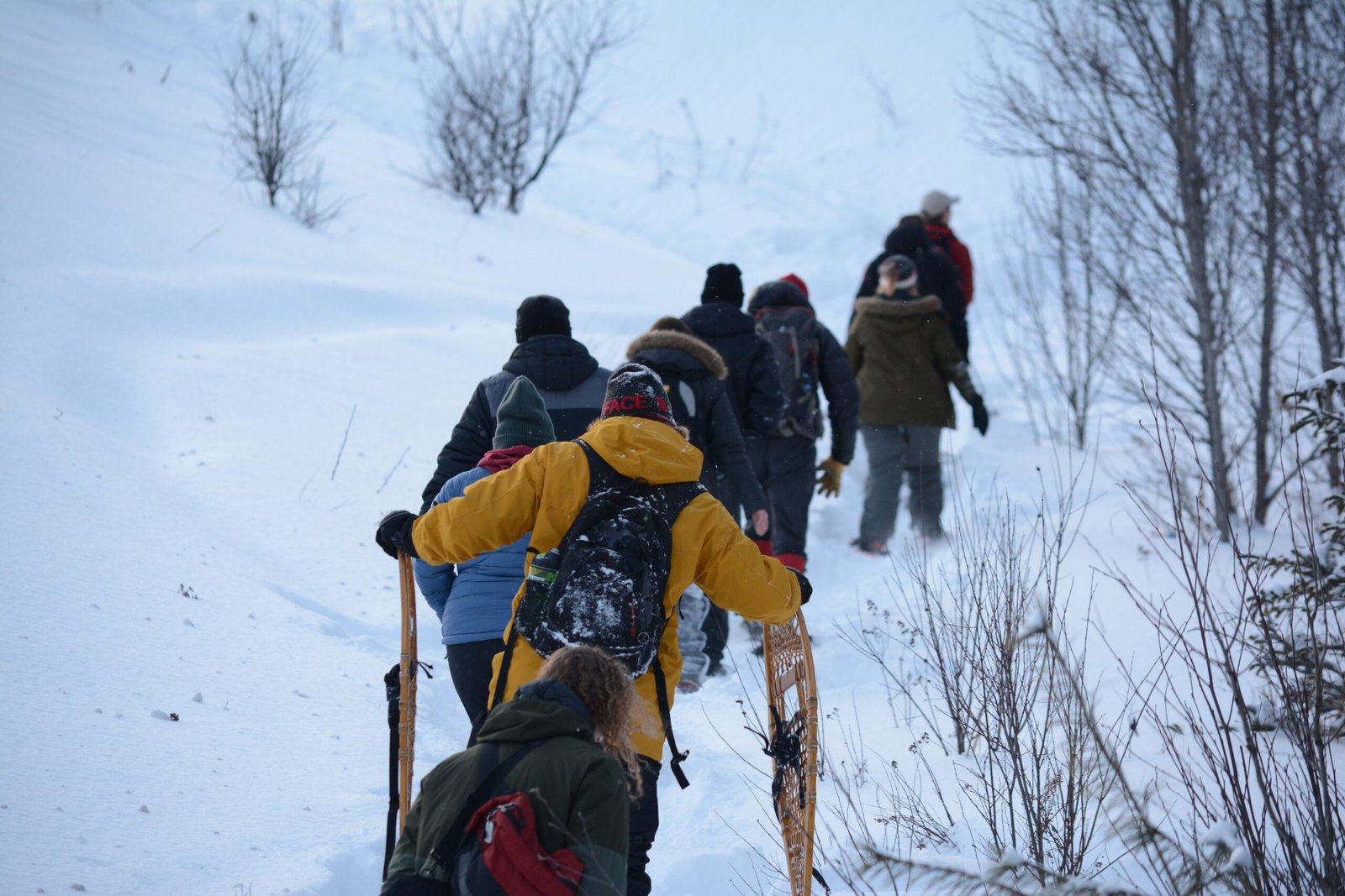 Take a snowshoeing trip in the nearby nature reserve.