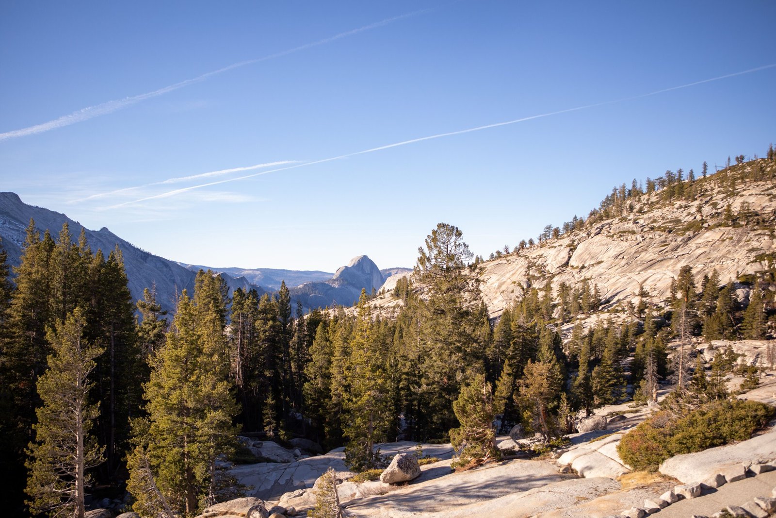 Explore the scenic trails of the Sierra National Forest.