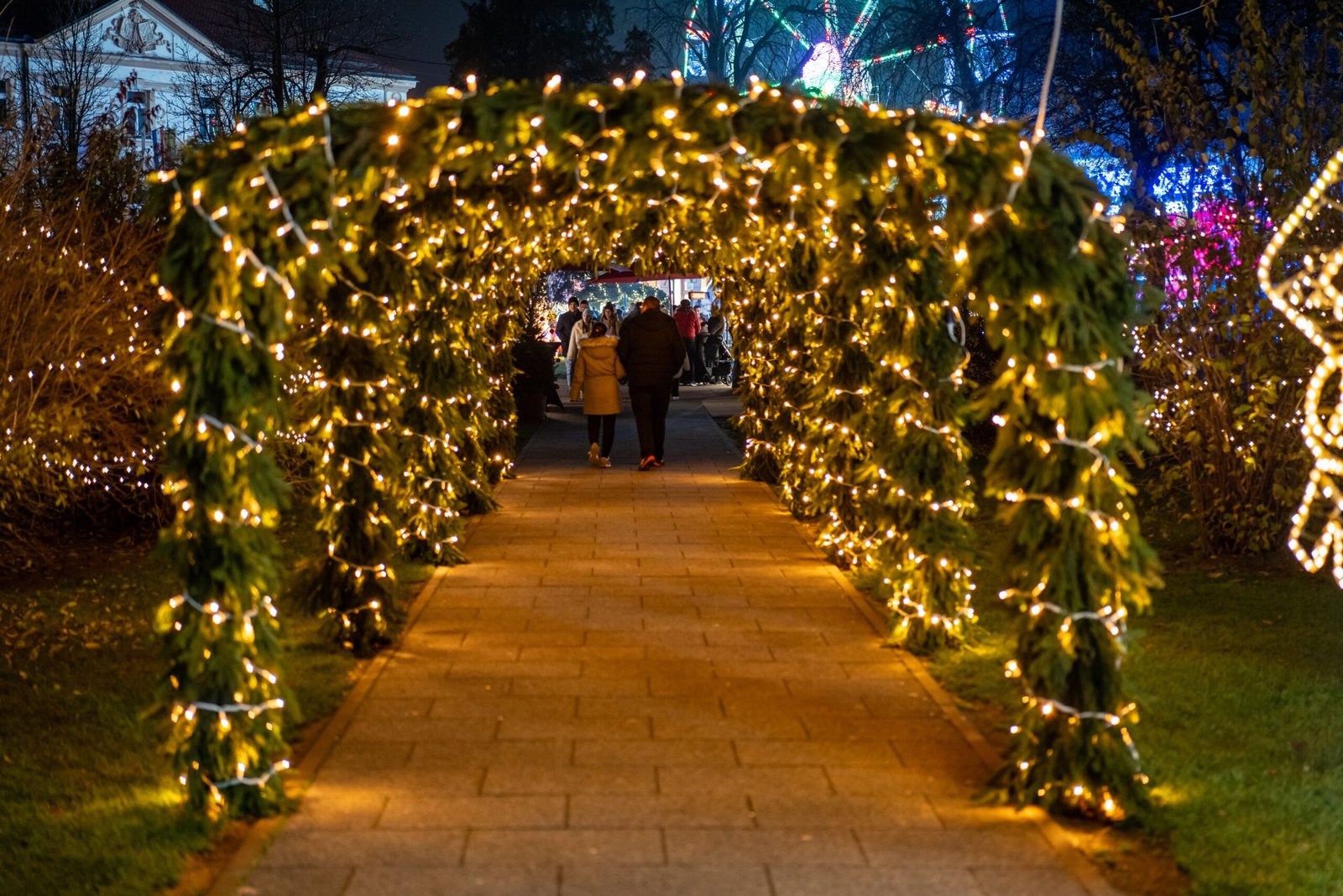 Discover the holiday spirit at the Chicago Botanic Garden’s 