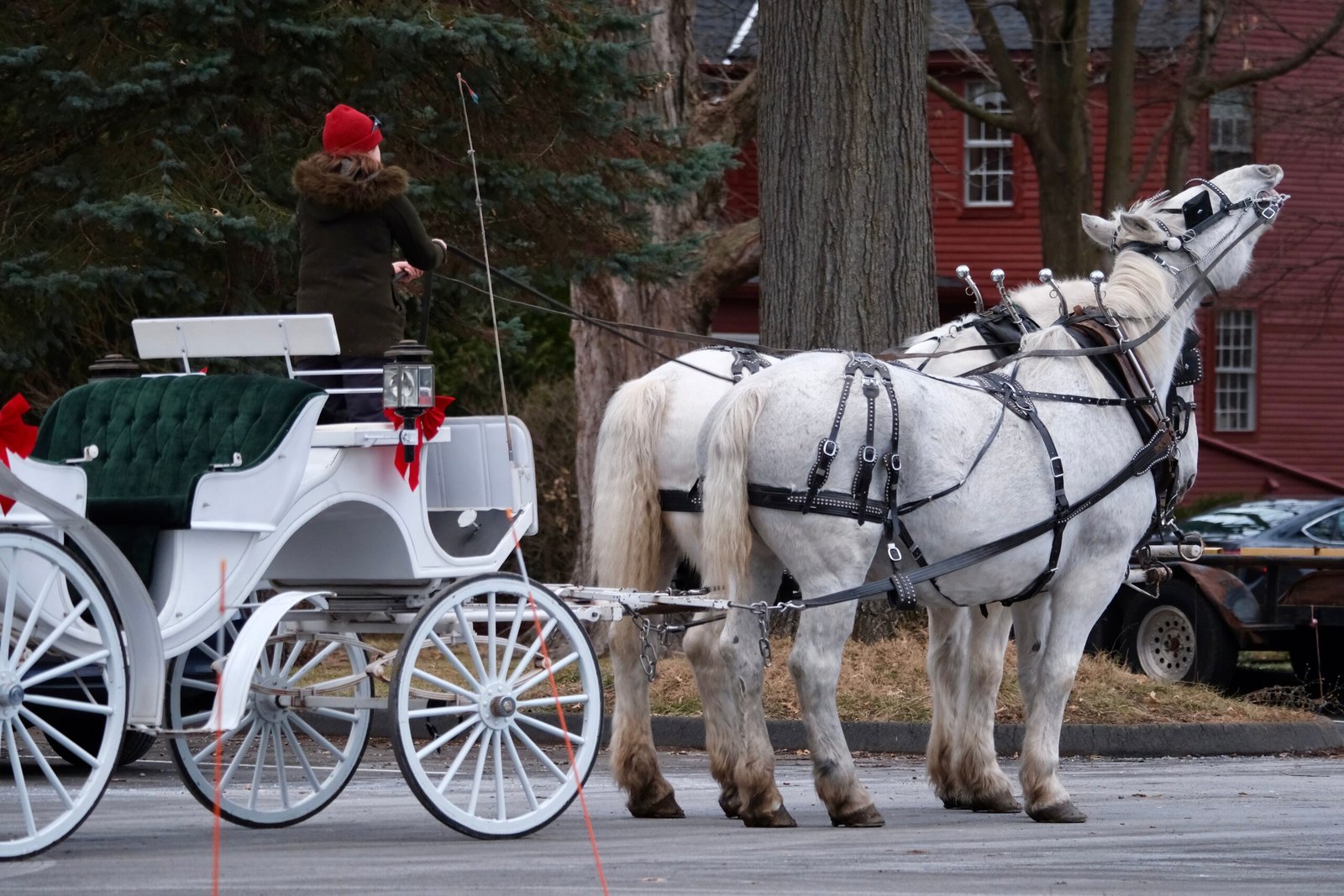 Tour the Kentucky Horse Park to learn about the state's equestrian heritage.