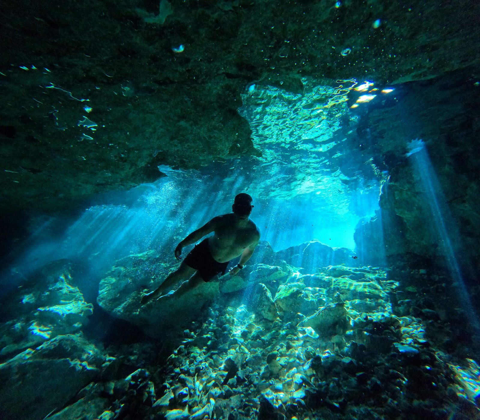 Discover the vibrant marine life at Chankanaab Beach Adventure Park