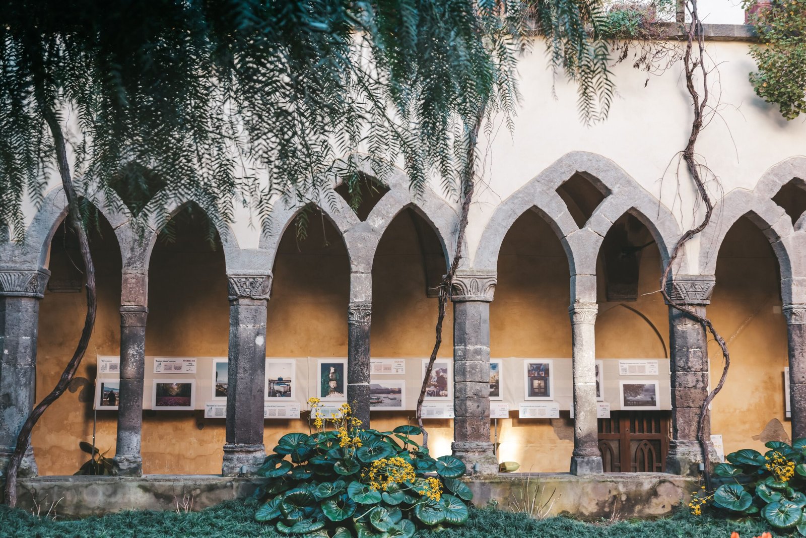 Discover the beautiful Cloister of San Francesco, known for its serene gardens