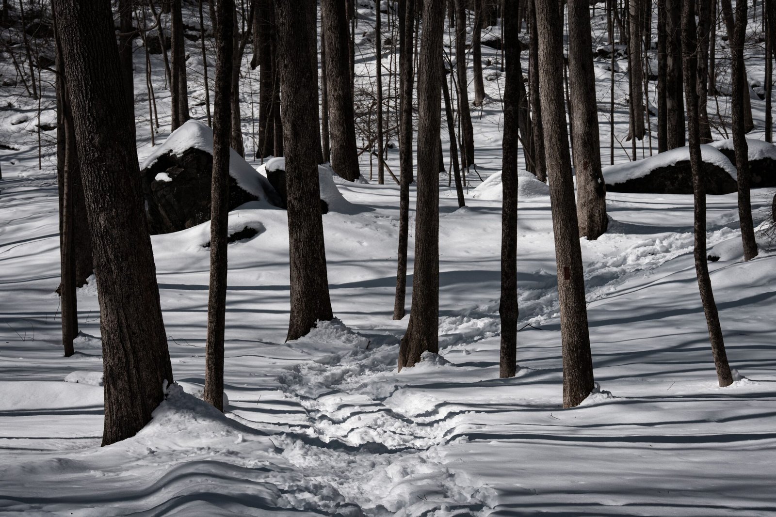 Take a hike in the Sterling Forest State Park.