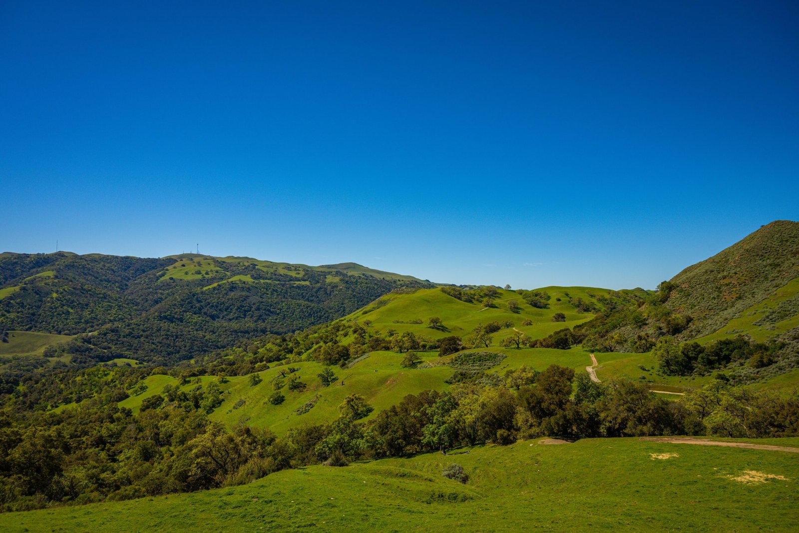 Explore the trails and picnic areas at Cupertino's Rancho San Antonio Open Space Preserve.