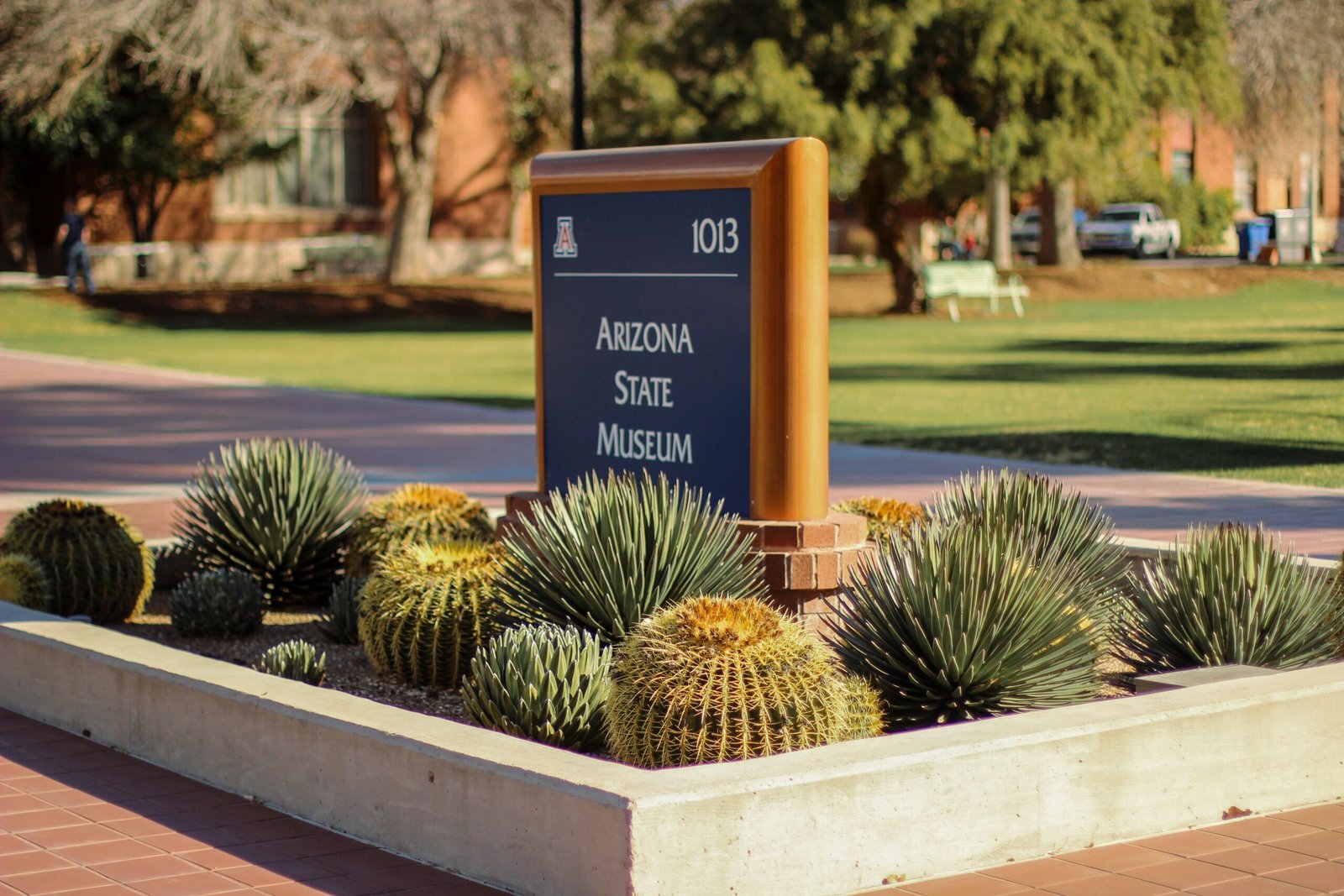 Check out local art at the Tucson Museum of Art