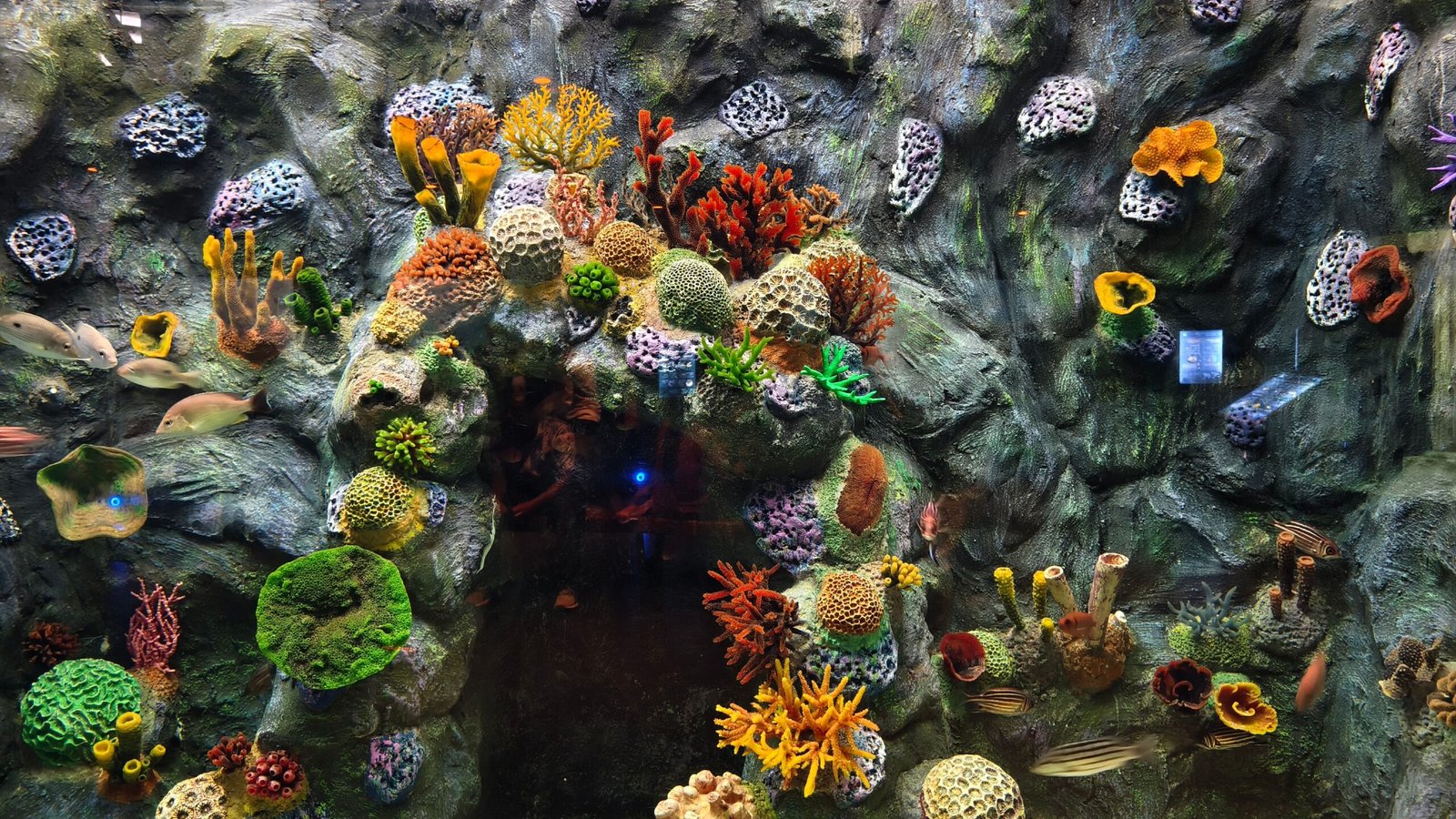 Explore the underwater wonders at the John Pennekamp Coral Reef State Park.