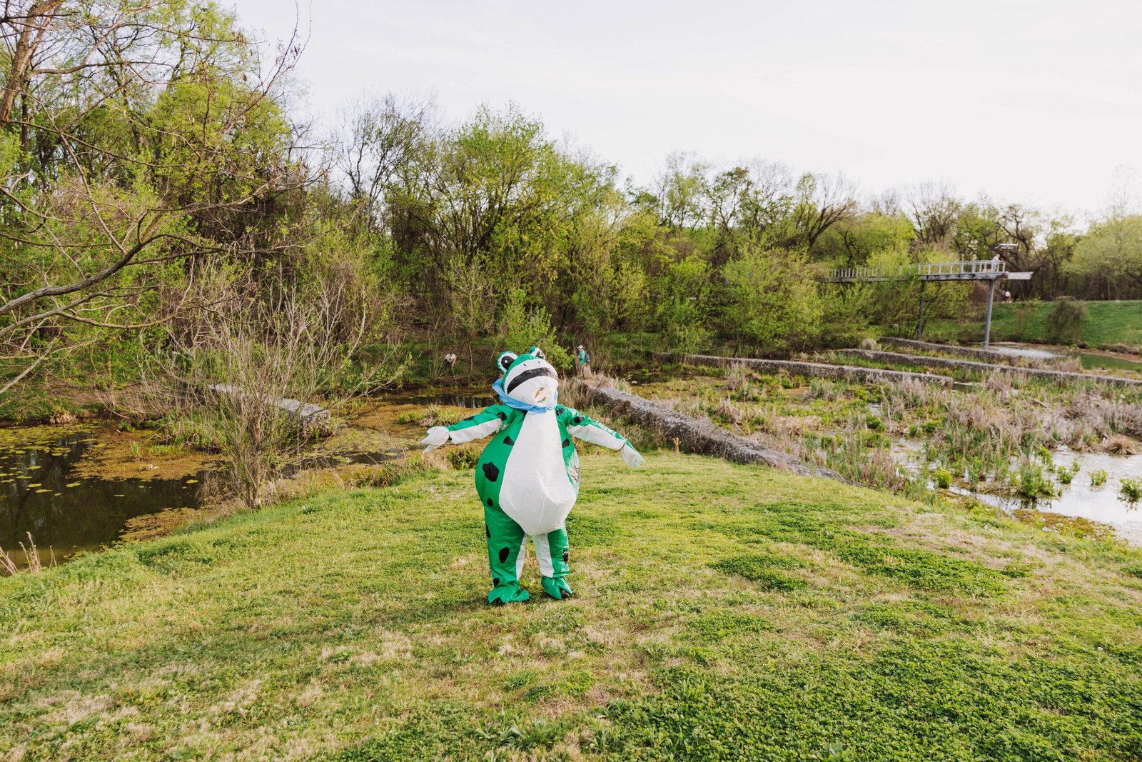 Take a leisurely stroll through the beautiful Green Frog Farm.