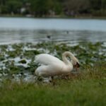 things to do in lake city fl