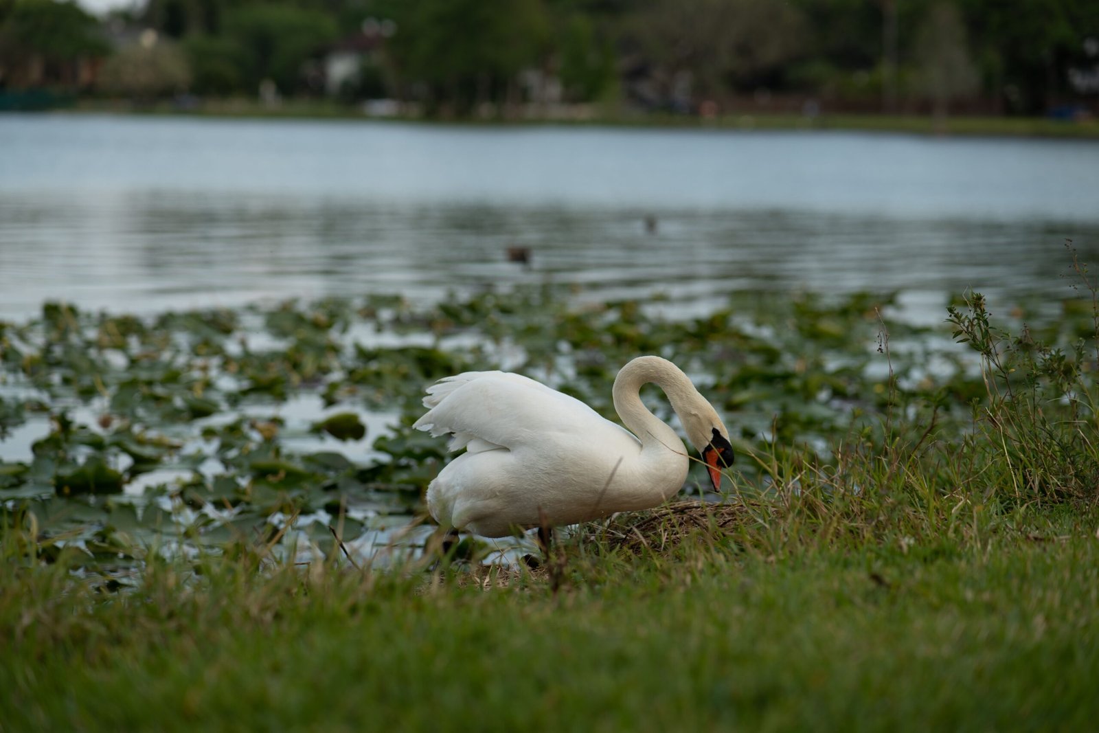 things to do in lake city fl