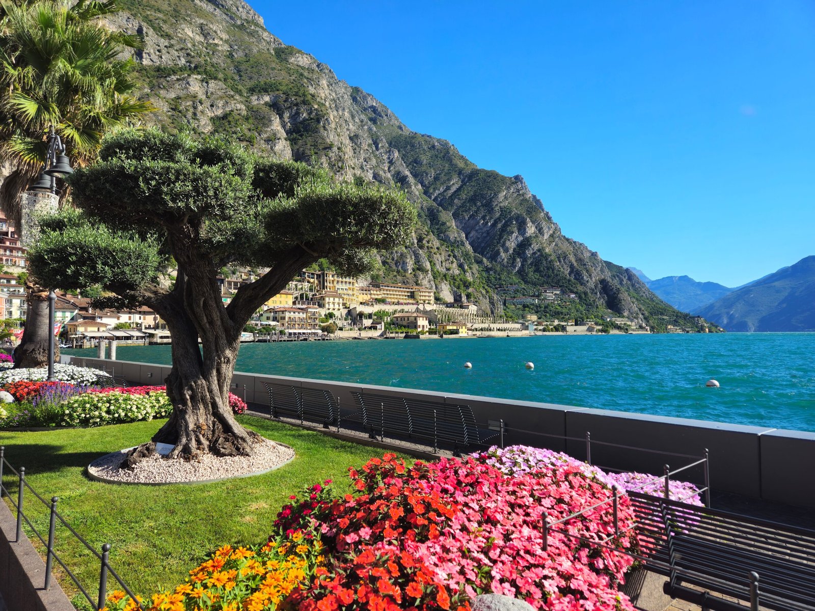 Walk along the beautiful Lake Promenade and enjoy the vibrant flower beds