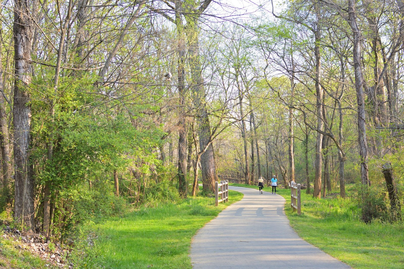 Discover the enchanting trails of the Oak Ridge Greenway.