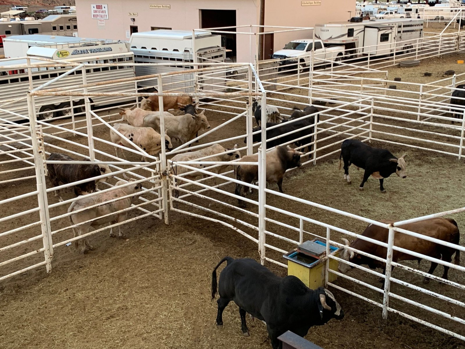 Attend a live rodeo at the Cody Nite Rodeo, running all summer long.