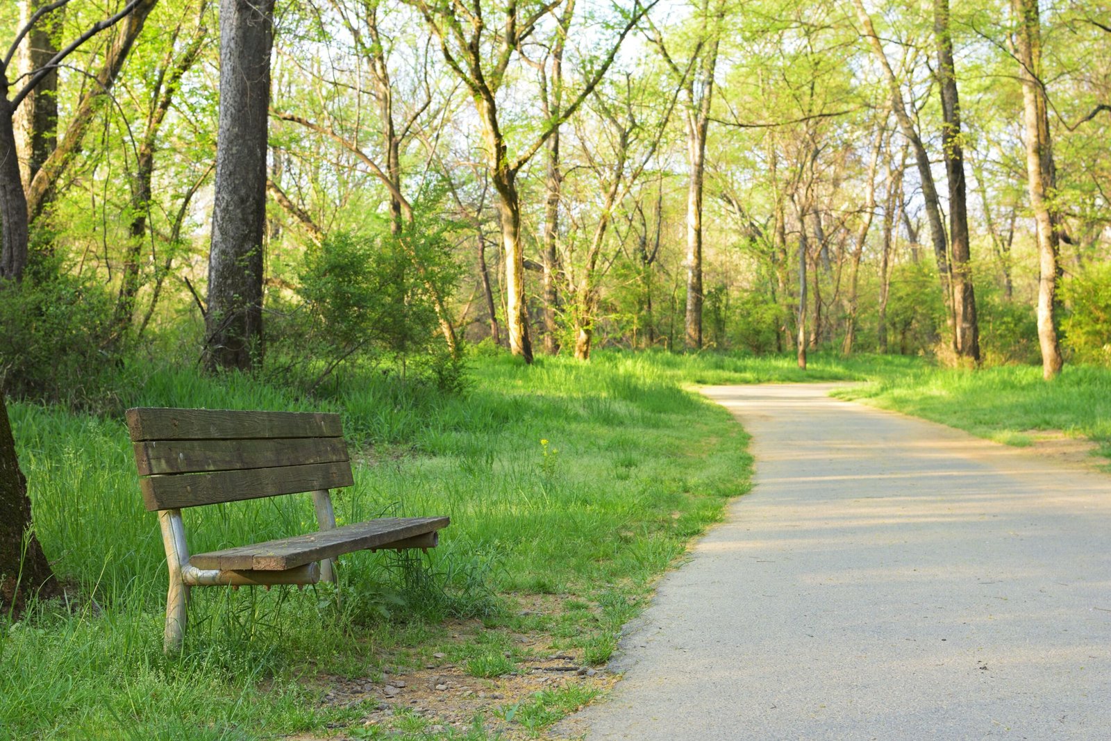 Enjoy a family day at the Maryville-Alcoa Greenway, perfect for biking and walking.