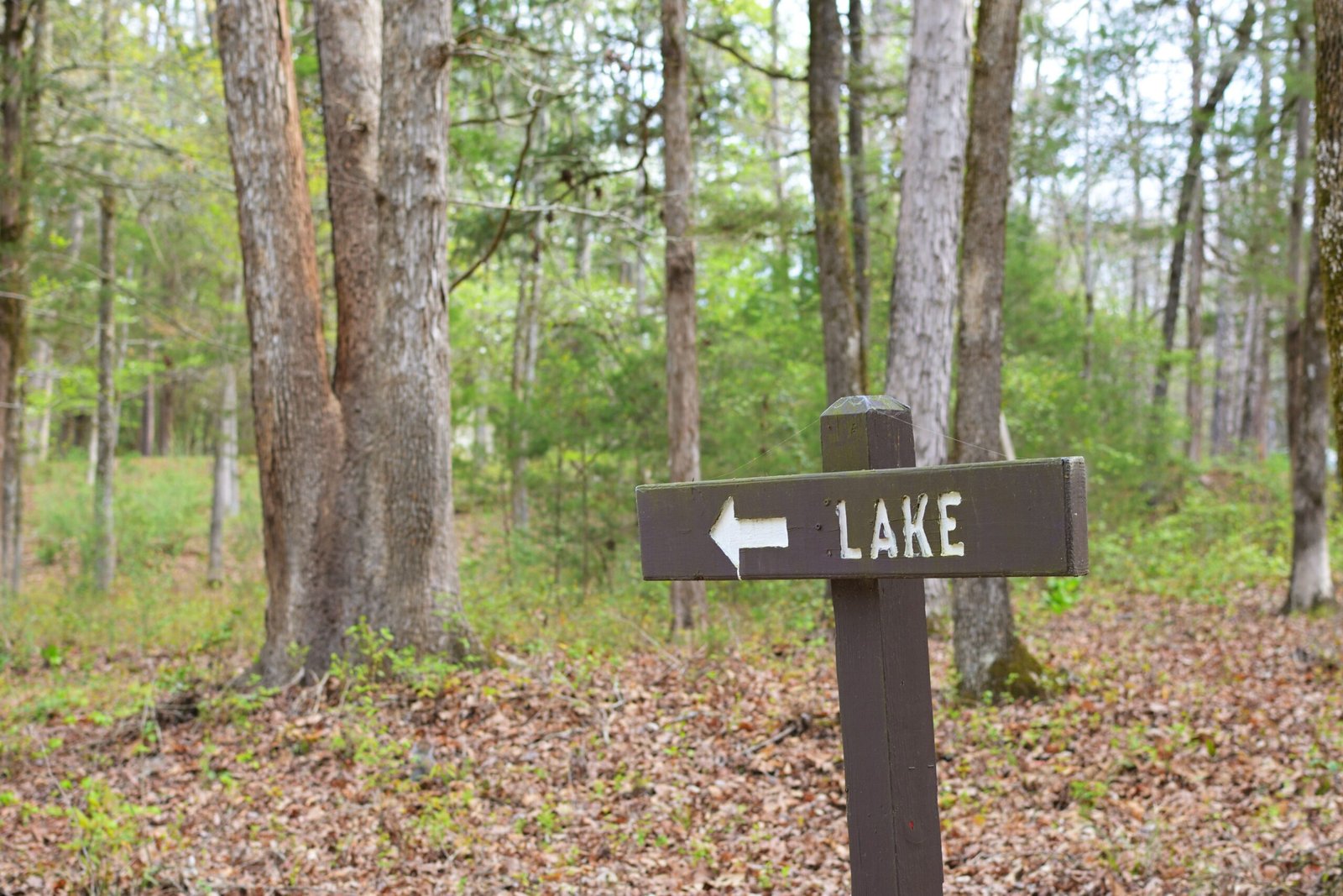 Explore the scenic trails at the Mirror Lake State Park.