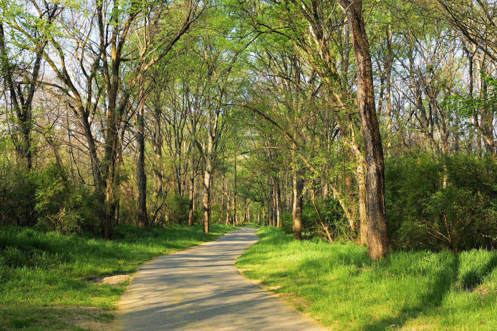 Take a leisurely stroll at the Southaven Greenway Trail.