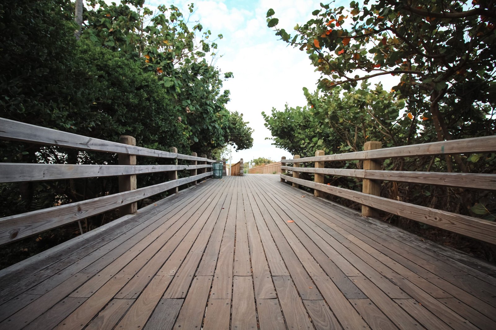Explore the tropical gardens at Kealia Coastal Boardwalk