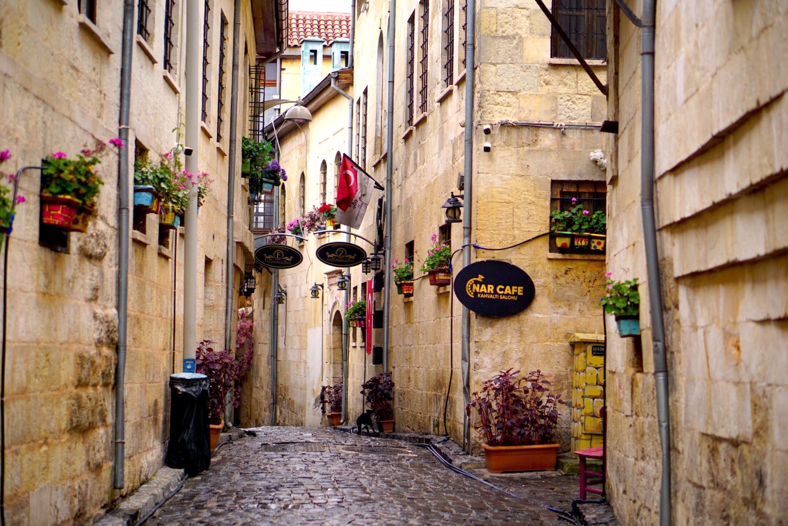 Enjoy a traditional meal at Rainbow Street in Amman, bustling with restaurants and cafes.