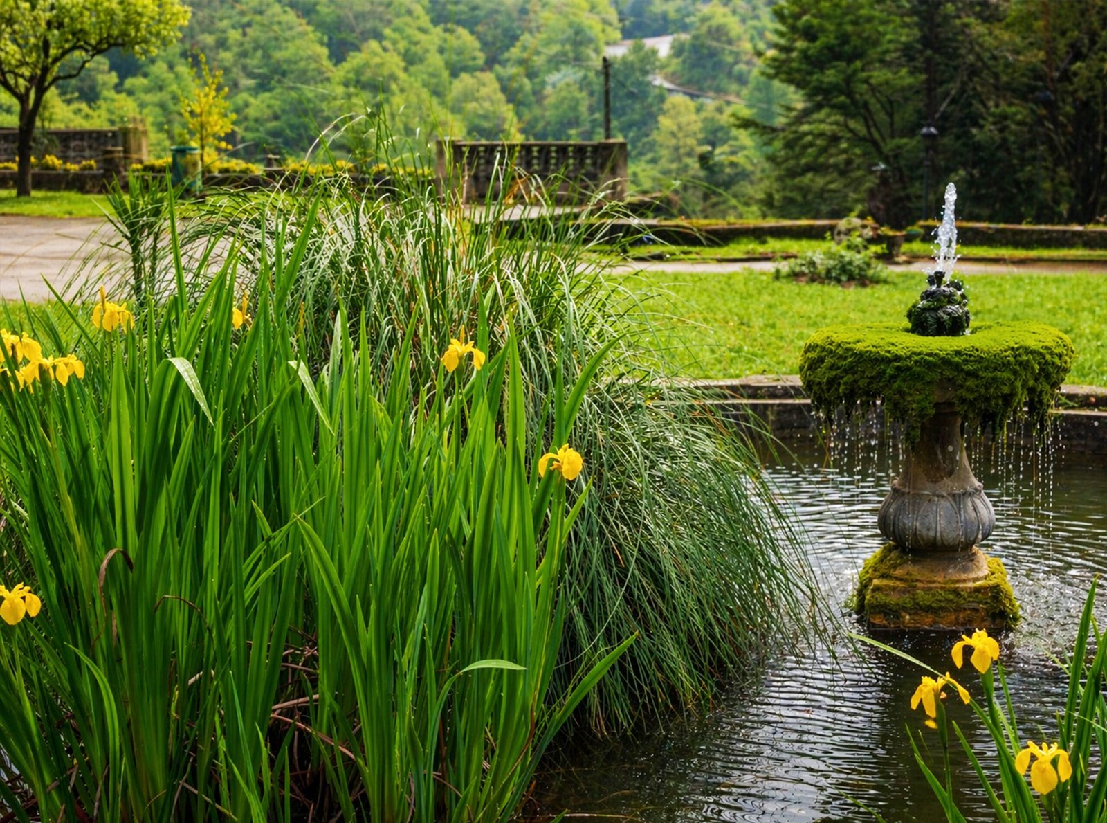 Discover the exotic gardens of Terra Nostra Park in Furnas.