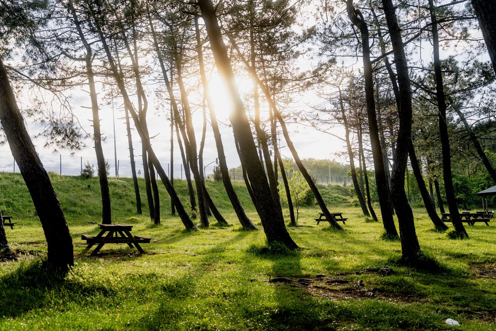 Enjoy a refreshing picnic at East End Recreation Area.