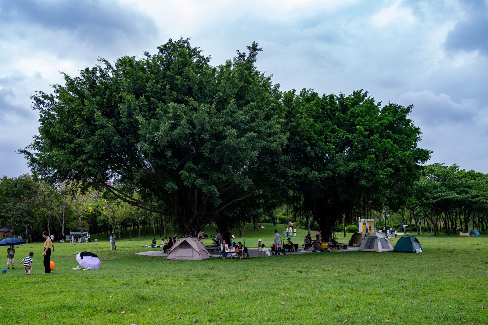 Take a family outing to the Kerrville-Schreiner Park for camping and outdoor activities.
